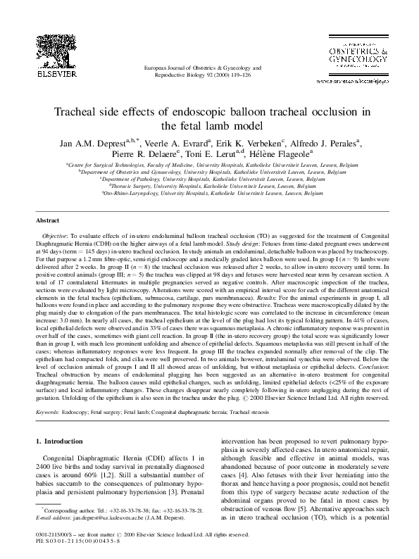 (PDF) Tracheal side effects of endoscopic balloon tracheal occlusion in ...