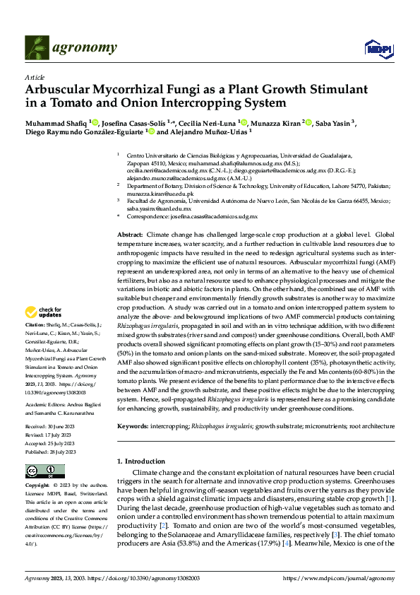 (PDF) Arbuscular Mycorrhizal Fungi as a Plant Growth Stimulant in a ...