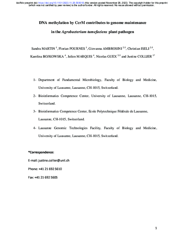(PDF) DNA methylation by CcrM contributes to genome maintenance in the ...