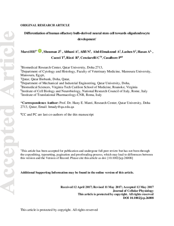 (PDF) Differentiation of human olfactory bulb-derived neural stem cells ...