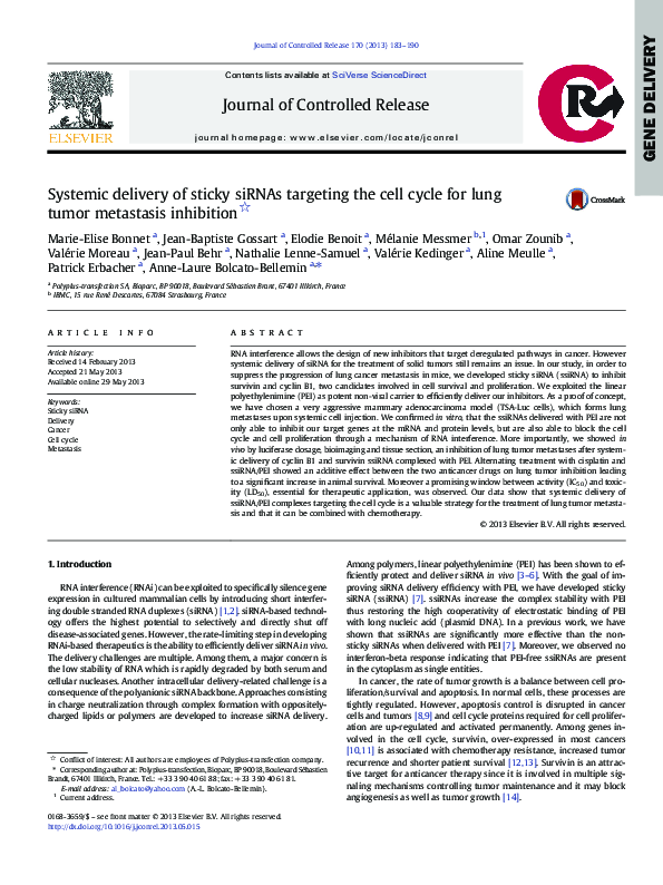 (PDF) Systemic delivery of sticky siRNAs targeting the cell cycle for ...
