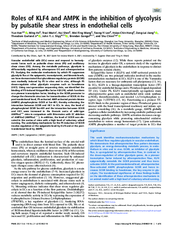 (PDF) Roles of KLF4 and AMPK in the inhibition of glycolysis by ...