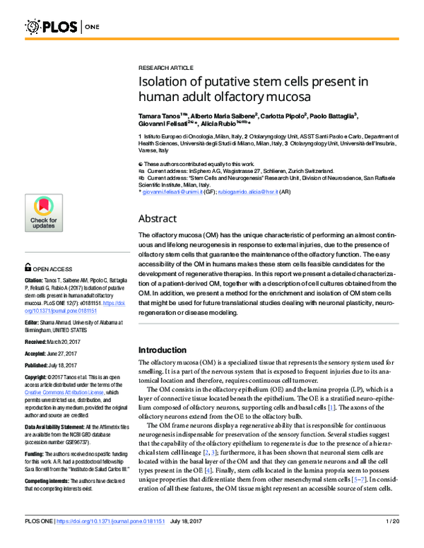 (PDF) Isolation of putative stem cells present in human adult olfactory ...