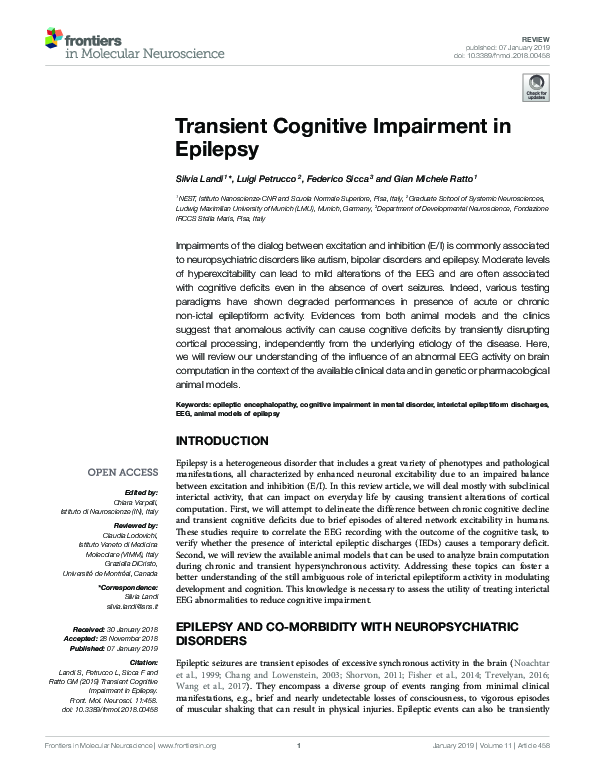 (PDF) Transient Cognitive Impairment in Epilepsy
