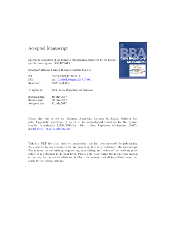 (PDF) Epigenetic Regulation of Epithelial to Mesenchymal Transition