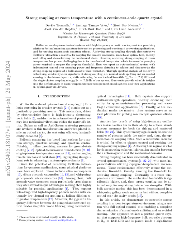 (PDF) Strong coupling at room temperature with a centimeter-scale ...