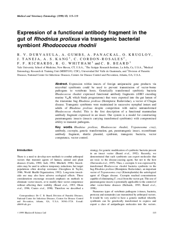 (PDF) Expression of a functional antibody fragment in the gut of ...