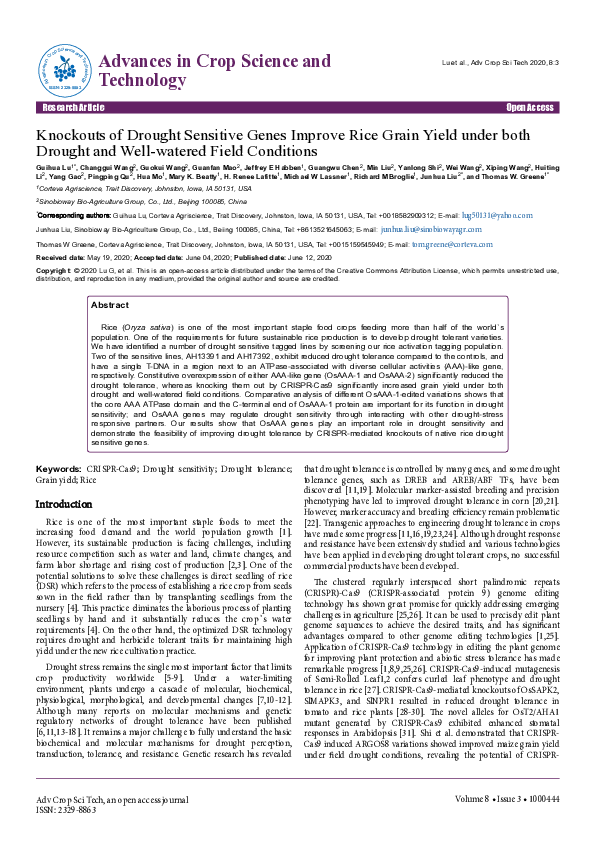 (PDF) Knockouts of Drought Sensitive Genes Improve Rice Grain Yield ...