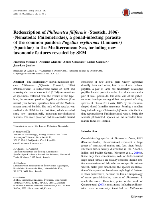 (PDF) Redescription of Philometra filiformis (Stossich, 1896) (Nematoda ...