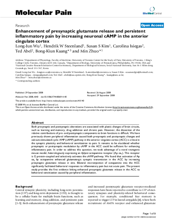 (PDF) Enhancement of Presynaptic Glutamate Release and Persistent ...