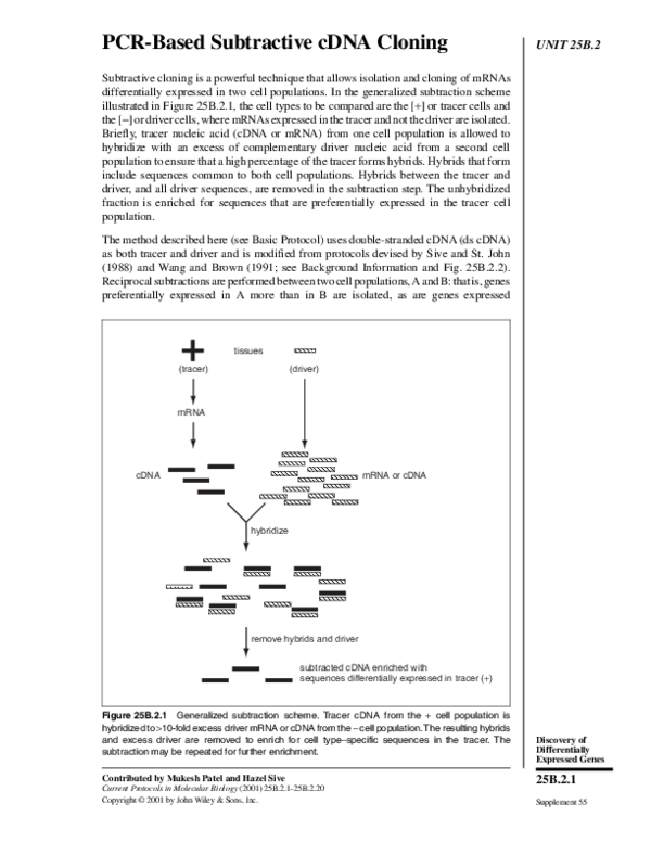 (PDF) PCR-Based Subtractive cDNA Cloning