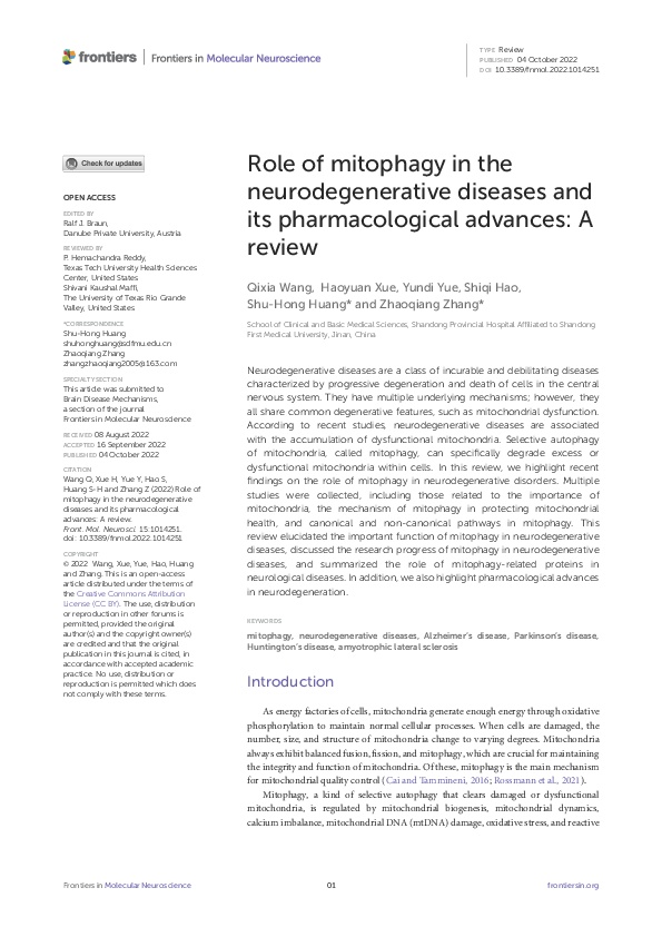 (PDF) Role of mitophagy in the neurodegenerative diseases and its ...