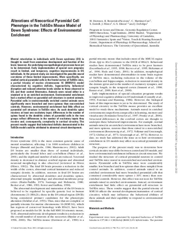 (PDF) Alterations of Neocortical Pyramidal Cell Phenotype in the Ts65Dn ...