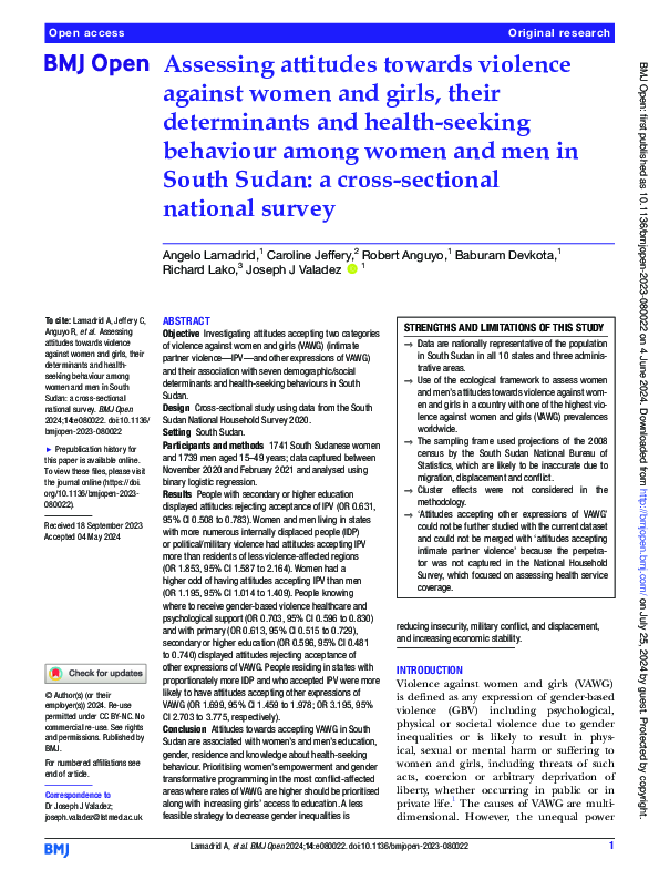 (PDF) Assessing attitudes towards violence against women and girls ...