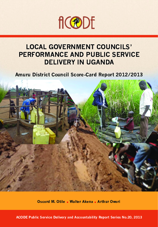 pdf-local-government-councils-performance-and-public-service
