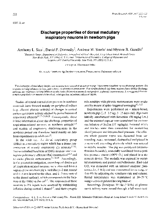 (PDF) Discharge properties of dorsal medullary inspiratory neurons in ...