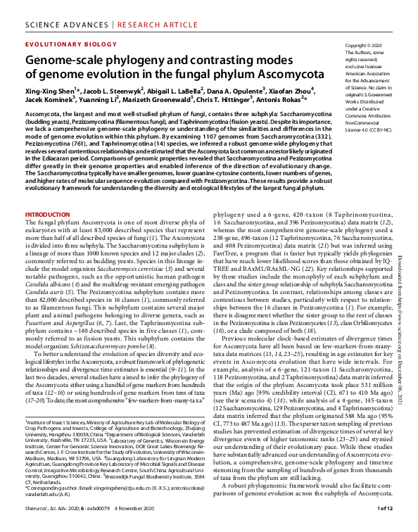 (PDF) Genome-scale phylogeny and contrasting modes of genome evolution ...