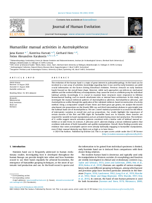 (PDF) Humanlike manual activities in Australopithecus