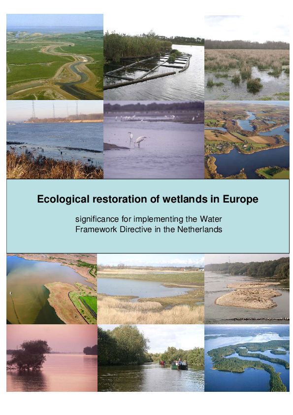 (PDF) Toward a Salt Marsh Management Plan for New York City