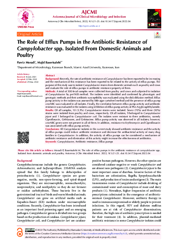 (PDF) The Role of Efflux Pumps in the Antibiotic Resistance of ...
