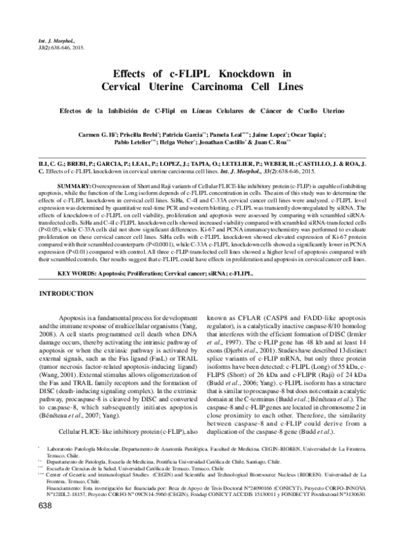 (PDF) Effects of c-FLIPL Knockdown in Cervical Uterine Carcinoma Cell ...