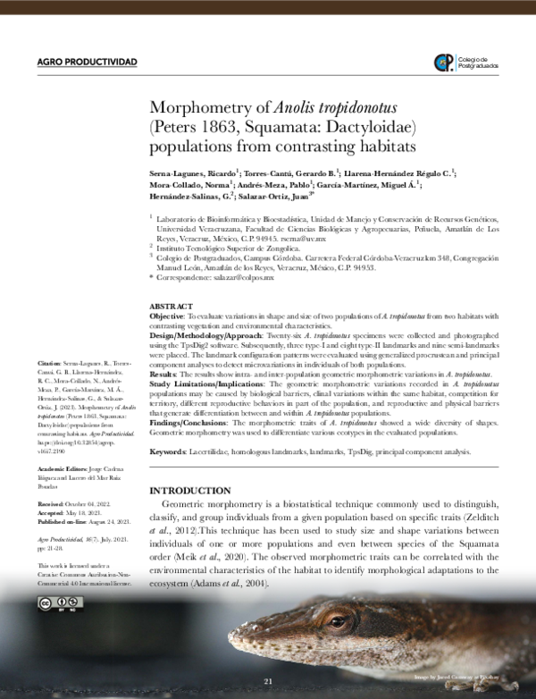 (PDF) Geometric morphometry of populations of Anolis tropidonotus ...
