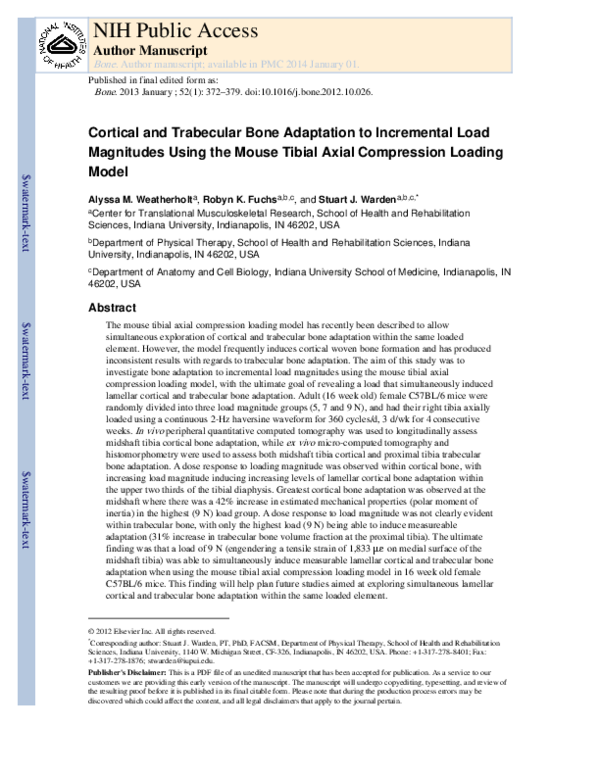 (PDF) Cortical and trabecular bone adaptation to incremental load ...