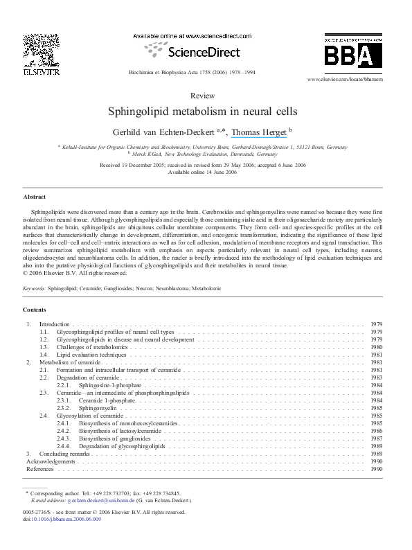 (PDF) Sphingolipid metabolism in neural cells