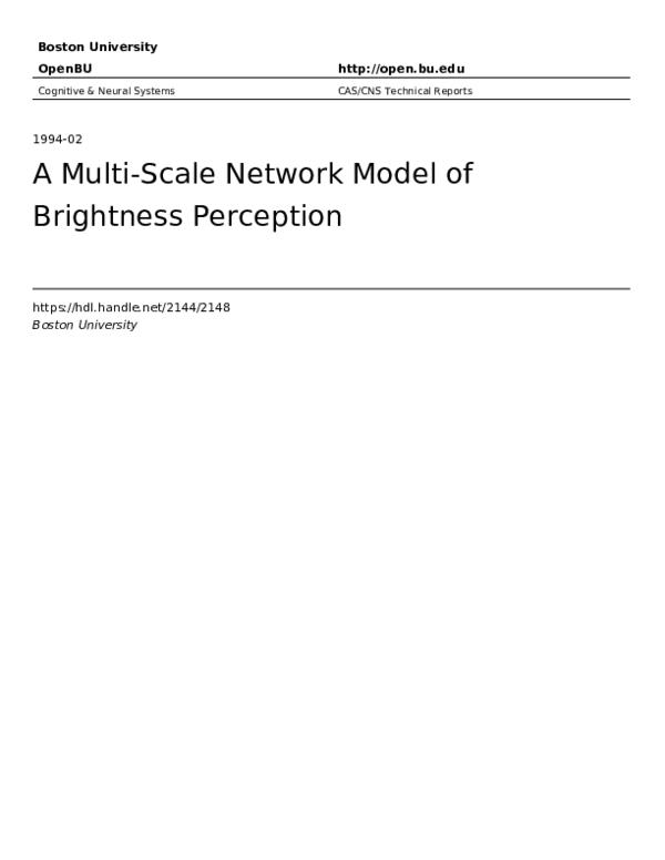 (PDF) A multi-scale network model of brightness perception