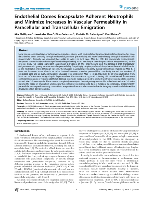 (PDF) Endothelial Domes Encapsulate Adherent Neutrophils and Minimize ...