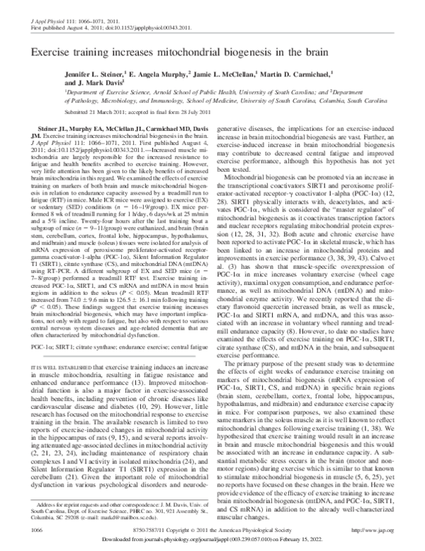 (PDF) Exercise training increases mitochondrial biogenesis in the brain