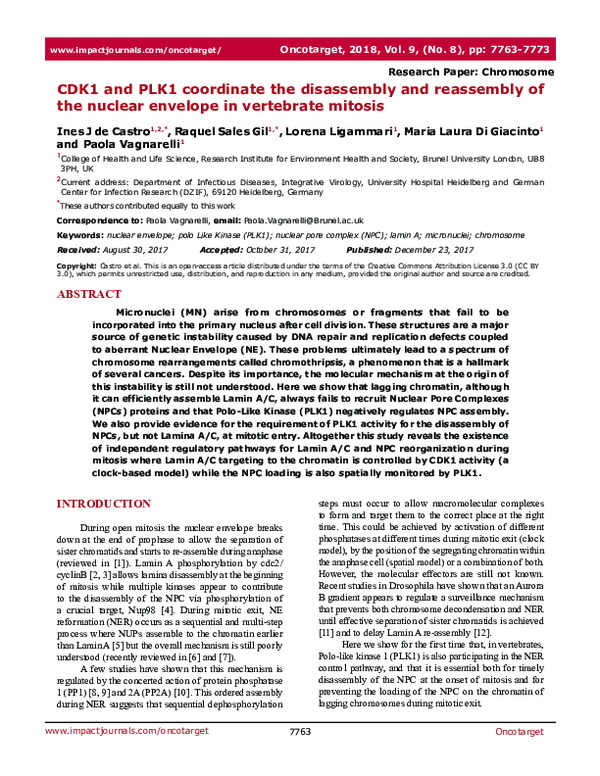 (PDF) CDK1 and PLK1 co-ordinate the disassembly and re-assembly of the ...