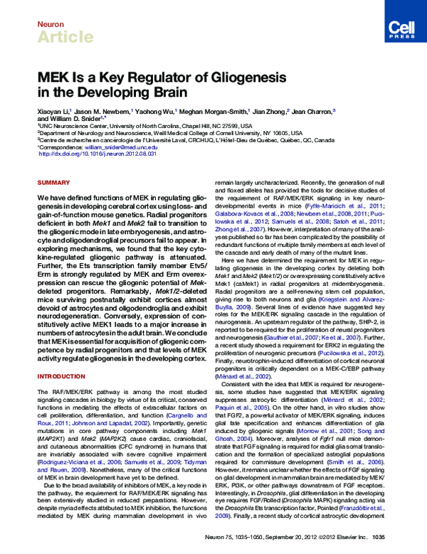 (PDF) MEK Is a Key Regulator of Gliogenesis in the Developing Brain