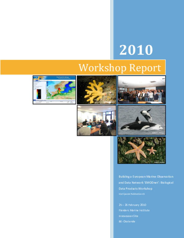 (PDF) Workshop Report