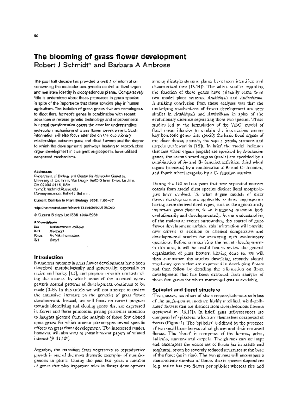 (PDF) The blooming of grass flower development