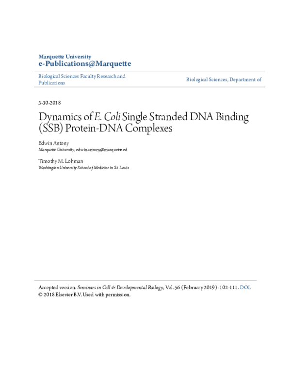 (PDF) Dynamics of E. coli single stranded DNA binding (SSB) protein-DNA ...