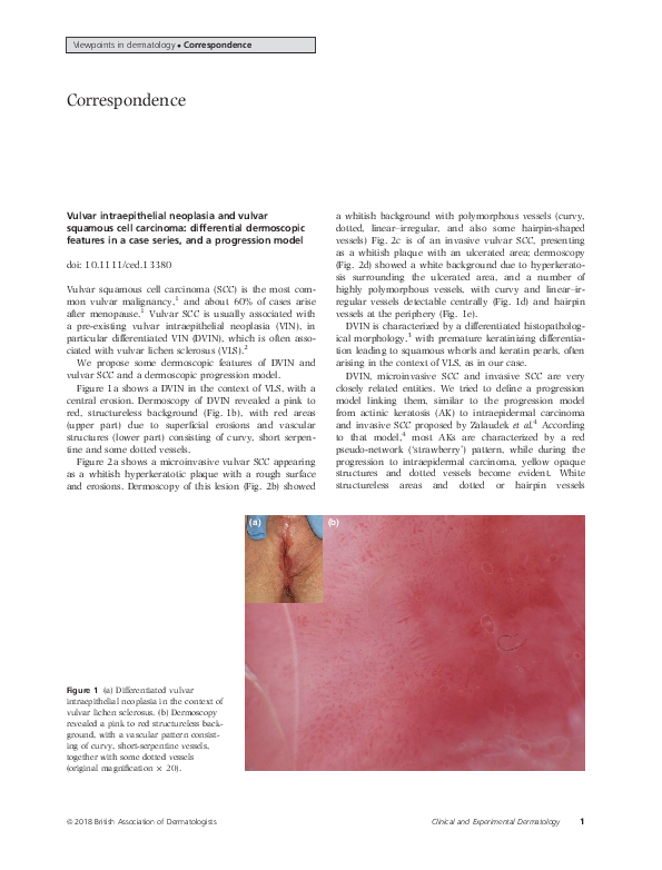 (PDF) Vulvar intraepithelial neoplasia and vulvar squamous cell ...
