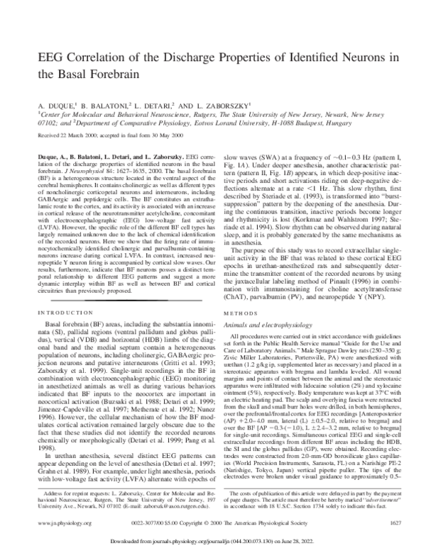 (PDF) EEG Correlation of the Discharge Properties of Identified Neurons ...