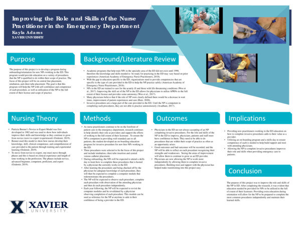 (PDF) Improving the Role and Skills of the Nurse Practitioner in the ...