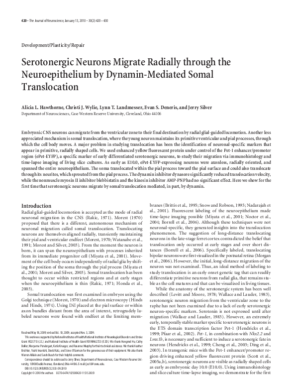 (PDF) Serotonergic Neurons Migrate Radially through the Neuroepithelium ...