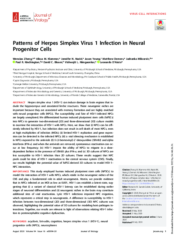 (PDF) Patterns of Herpes Simplex Virus 1 Infection in Neural Progenitor ...