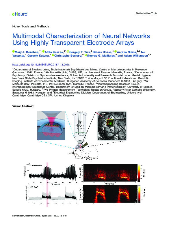 (PDF) Multimodal Characterization of Neural Networks Using Highly ...