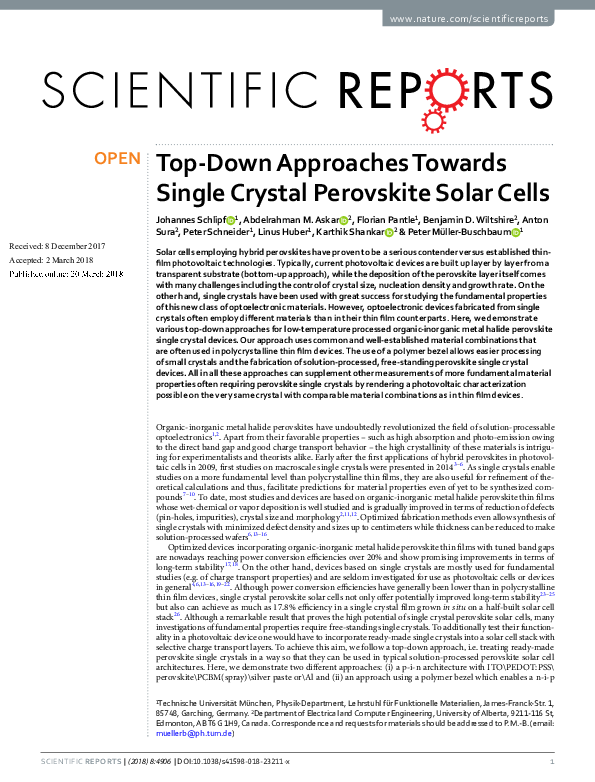 (PDF) Top-Down Approaches Towards Single Crystal Perovskite Solar Cells