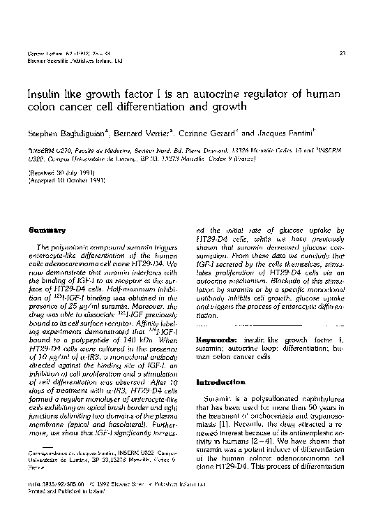(PDF) Insulin like growth factor I is an autocrine regulator of human ...