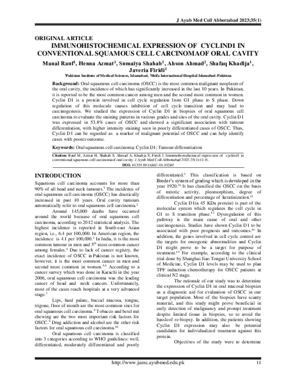 (PDF) Immunohistochemical Expression of Cyclin D1 in Conventional ...