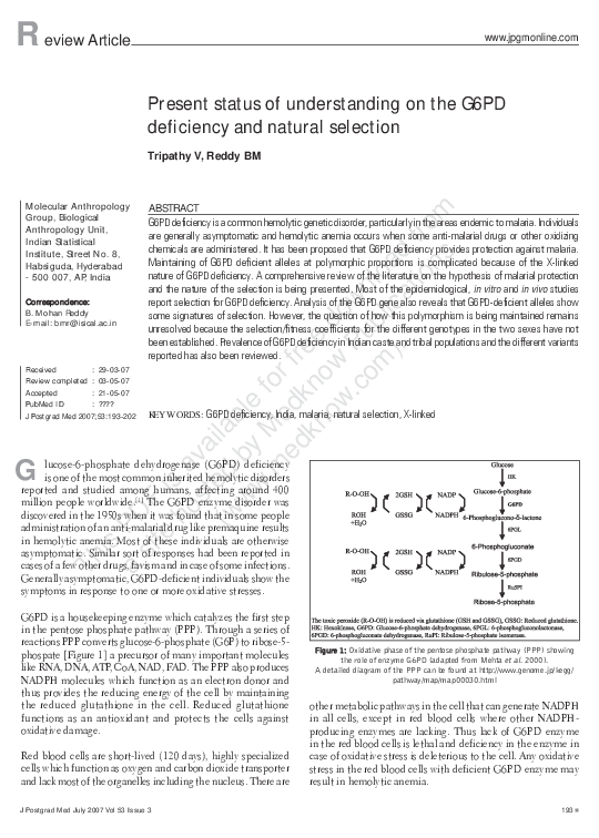 (PDF) Present status of understanding on the G6PD deficiency and ...
