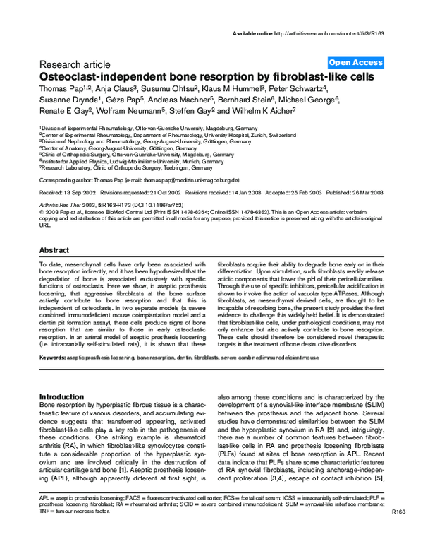 (PDF) Osteoclast-independent bone resorption by fibroblast-like cells