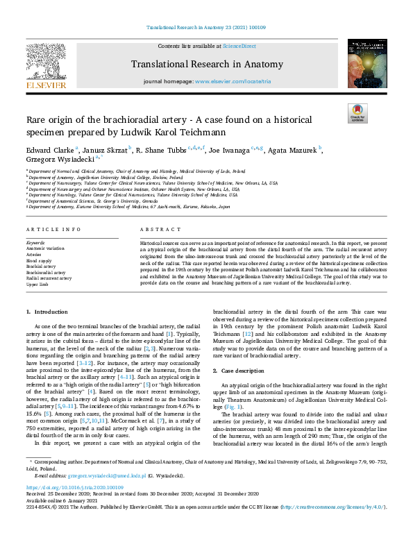 (PDF) Rare origin of the brachioradial artery - A case found on a ...