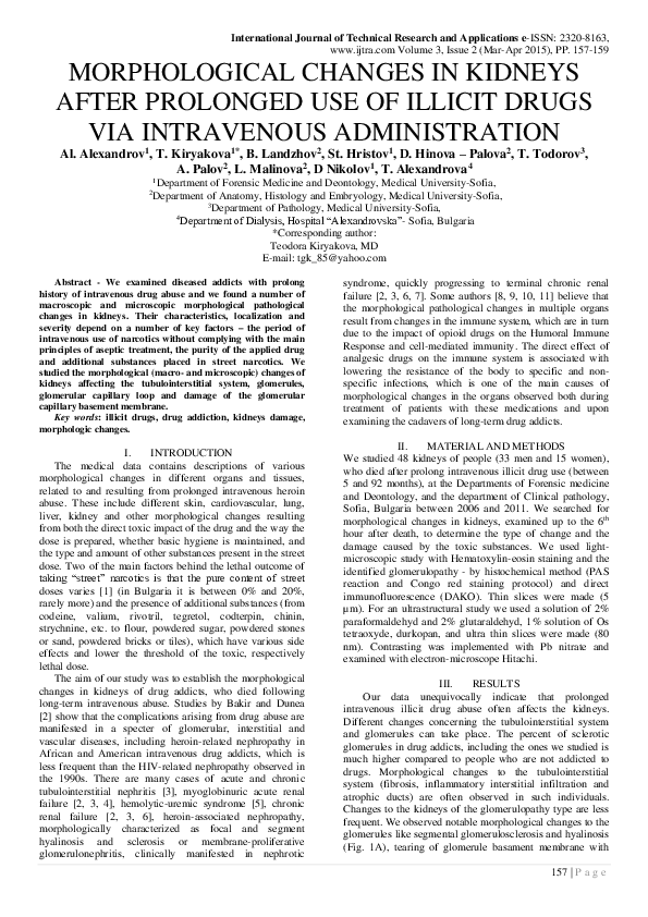 (PDF) Morphological Changes in Kidneys After Prolonged Use of Illicit ...