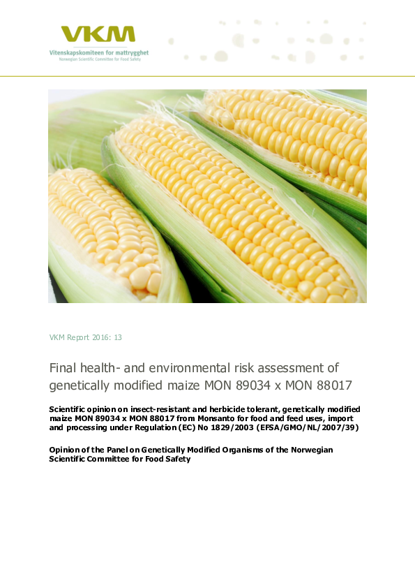 (PDF) Final Health- and Environmental Risk Assessment of Genetically ...
